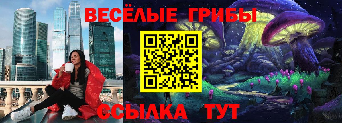 Ульяновск  Псилоцибиновые грибы MAGIC MUSHROOMS  где купить наркотик  Галлюциногенные грибы Magic Shrooms  Вход с VPN 